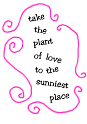 take the plant of love to the sunniest place
